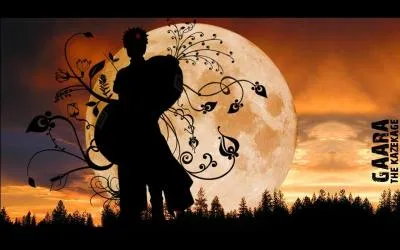 Shukaku a tout d'abord t scell dans :