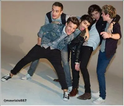 Qui chante le premier dans  Story of my life  ?