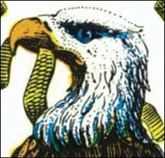 On peut voir sur le blason amricain un rapace, le Pygargue  tte blanche, qui vit quasi-exclusivement en Amrique du Nord. Quel est son nom anglais ?