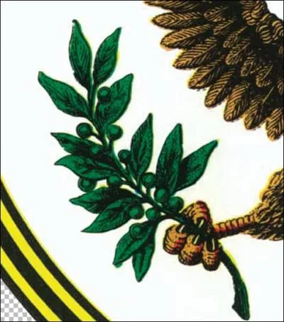 Le Pygargue  tte blanche tient dans une patte une branche d'olivier comptant 13 olives et 13 feuilles. Comment dit-on  treize feuilles  en anglais ?