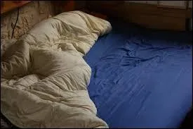 En  petit ngre , c'est tirer la couverture  soi pour tre dans de beaux draps ! Excellente cratrice, elle a corrig un grand nombre de quiz !