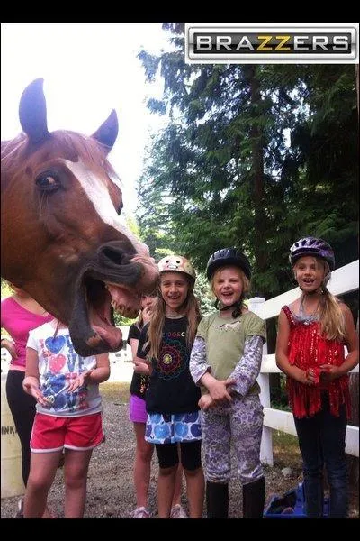 On s'est trop amus ! Quel animal nous sourit sur l'image ?