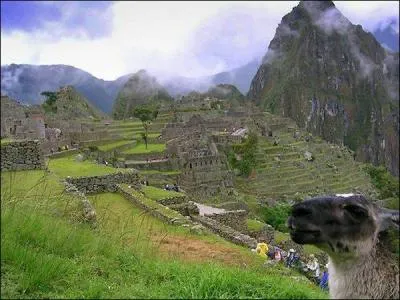 Souvenir de voyage ! Quel animal qui a dcid d'tre vu sur la photo ?