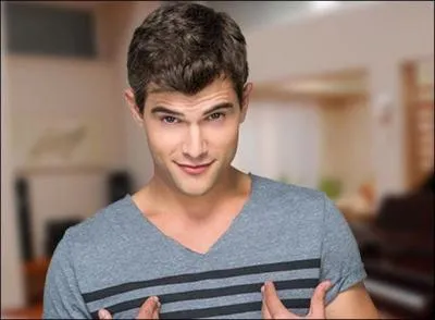 Quels sont ses dfauts ?