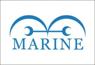 Pendant l'arc Punk Hasard (en ENTIER), il y a :