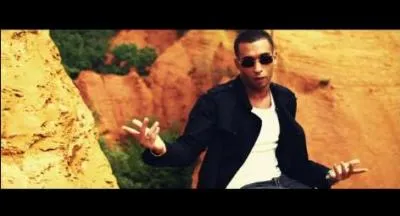 Dans la chanson  Je voulais  il dit qu'il voulait faire d'elle...