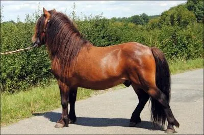 Quelle est cette robe ?