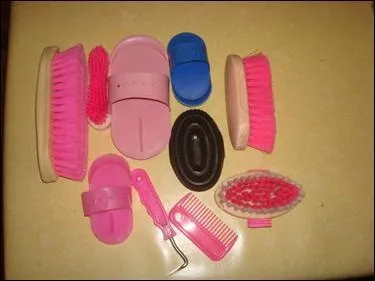 Dans quel ordre brosse-t-on un cheval ?