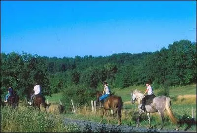 Comment appelle-t-on le terrain dehors ?