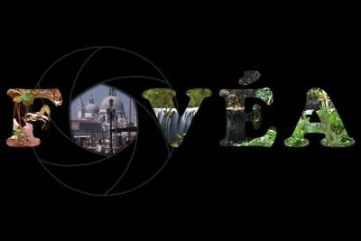 Fovéa : Quel est le sens de ce mot ?