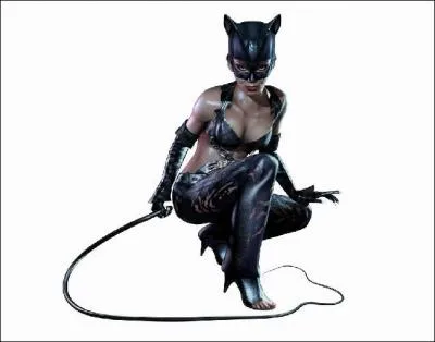 De quelle classe animale fait partie le fouette-queue ?