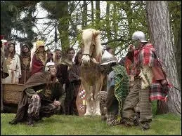 Les Gaulois ne connaissaient pas les boutons. Qu'utilisaient-ils pour attacher les habits ?