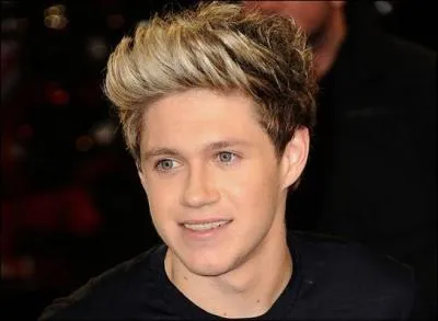 Quelle est la date de naissance de Niall Horan ?