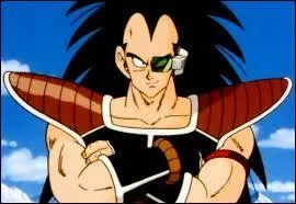 Raditz est ...