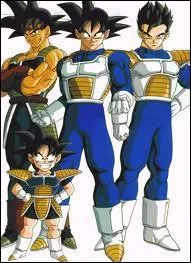 Quelles sont les origines de la famille de Son Goku ?