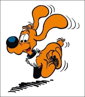 Quelle est sa race ?