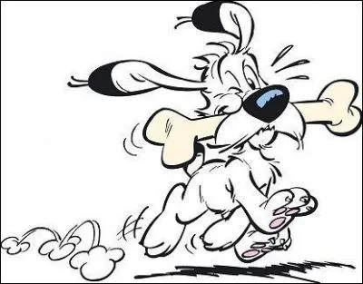 A qui appartient ce chien ?