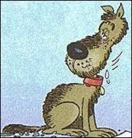 Comment s'appelle ce chien que doit souvent promener Cdric ?