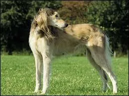 Maintenant, place aux champions de la course !