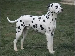 Et pour le dernier, un TRS facile !