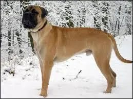 De plus en plus dur...