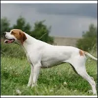 Tu y arrives toujours ?