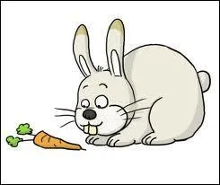 Quel est ce mammifre ?