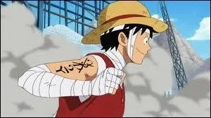 Que reprsente l'criture  2Y  sur le bras gauche de Luffy ?