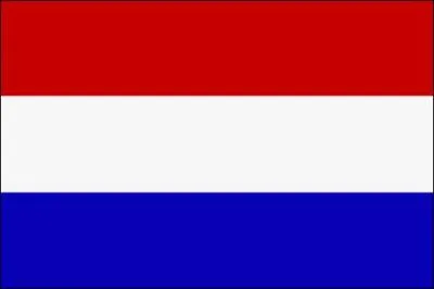 Les Pays-Bas ont 2 capitales (officielle et gouvernementale). Laquelle de ces villes n'est pas une capitale ?