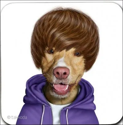  qui ressemble ce chien ?