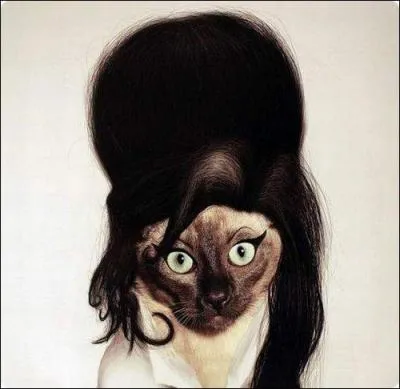 A qui ressemble ce chat ?
