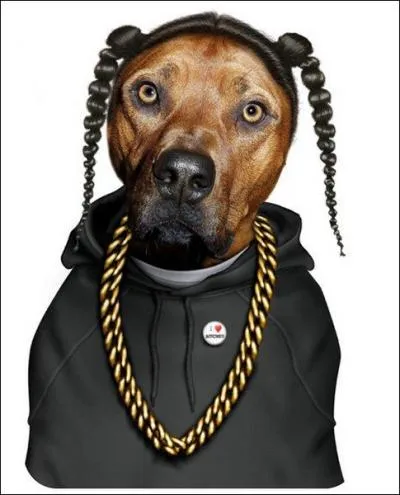  qui ressemble ce rappeur ?