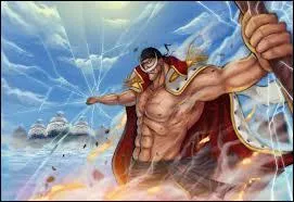 Quel pirate perd la vie  la bataille de Marine Ford (autre que Ace) ?