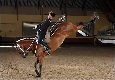 Airs de haute école - Laquelle de ces figures n'existe pas ?