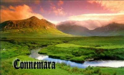 Qui chante la chanson  Les lacs du Connemara  ?