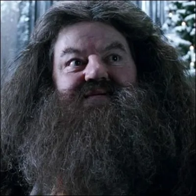 Il y a marqu Hagrid, sur ma liste.