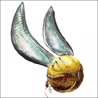 Un Attrapeur, c'est comme un ramasseur de balles au tennis ?