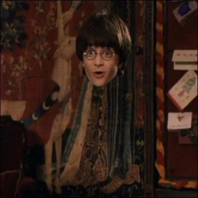 Un ami  vous organise une brocante. Vous tes sur le terrain, et tout le monde vous demande des renseignements sur les objets prsents. Poli, vous rpondez. Mme si la question ne fait qu'un mot. C'est parti. Une cape d'Invisibilit.