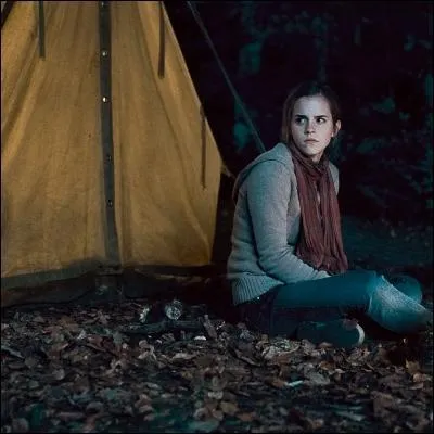 Tente  vendre. Quels sont vos arguments de vente ?