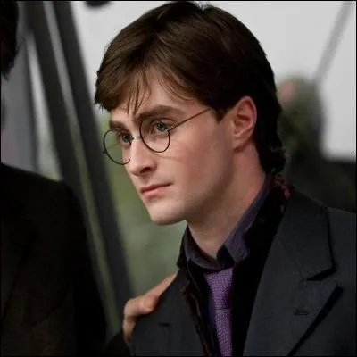 Ce soir, soire chez les Gryffondor. George est parti chercher de quoi se sustenter et Fred vous demande votre avis sur les personnes qu'il souhaite inviter.  vous de lui dire qui vaut quoi ! Harry ?