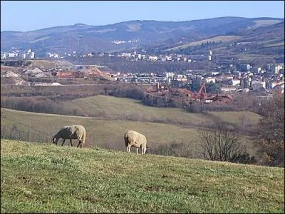 La ville de La Ricamarie, o vous pourrez voir le Puits des Combes, tmoin de l'exploitation du charbon est situe dans le dpartement :
