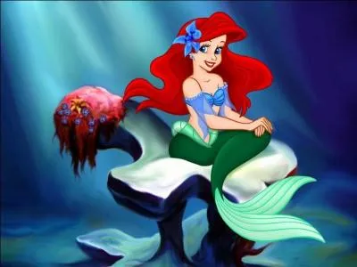 Qui sont les amis d'Ariel ?