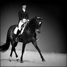 Comment est appel un programme de dressage ?
