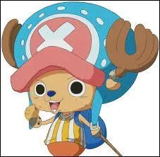 Quel fruit du dmon Chopper a-t-il mang ?