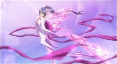 Quel est ce Chara Nari ?