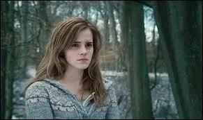 Dans  Harry Potter et les reliques de la mort  pourquoi Hermione est-elle en colre aprs Ron ?
