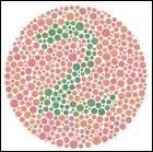 Quel chiffre pouvez-vous voir ?