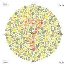 Quel chiffre pouvez-vous voir ?