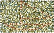 Quel dessin pouvez-vous voir ?