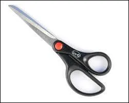 Le mot  ciseaux  est du genre :